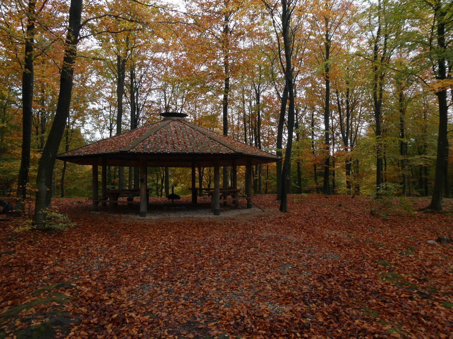 Gribskov - Bålplads ved Gadevang